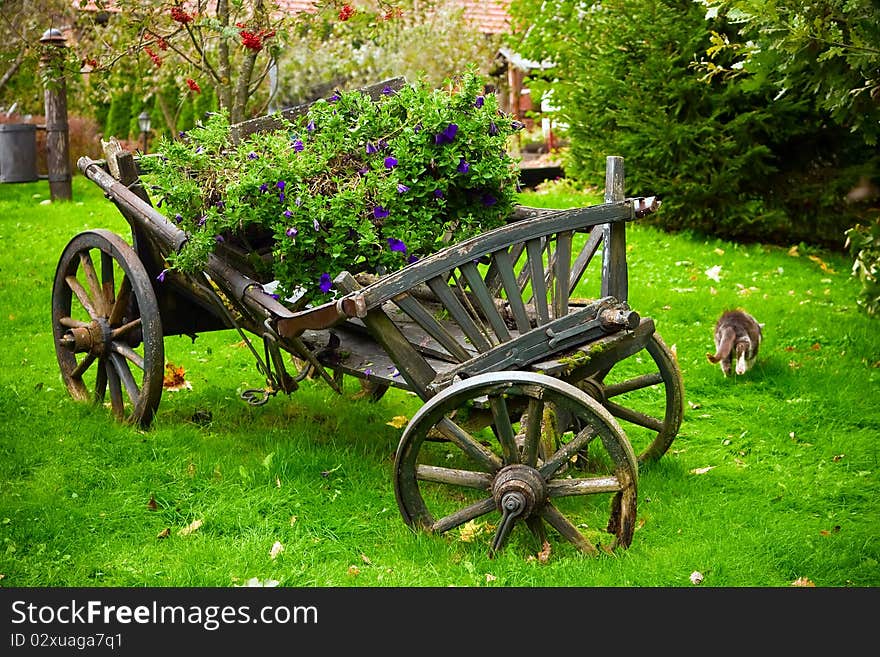 Decorated Cart