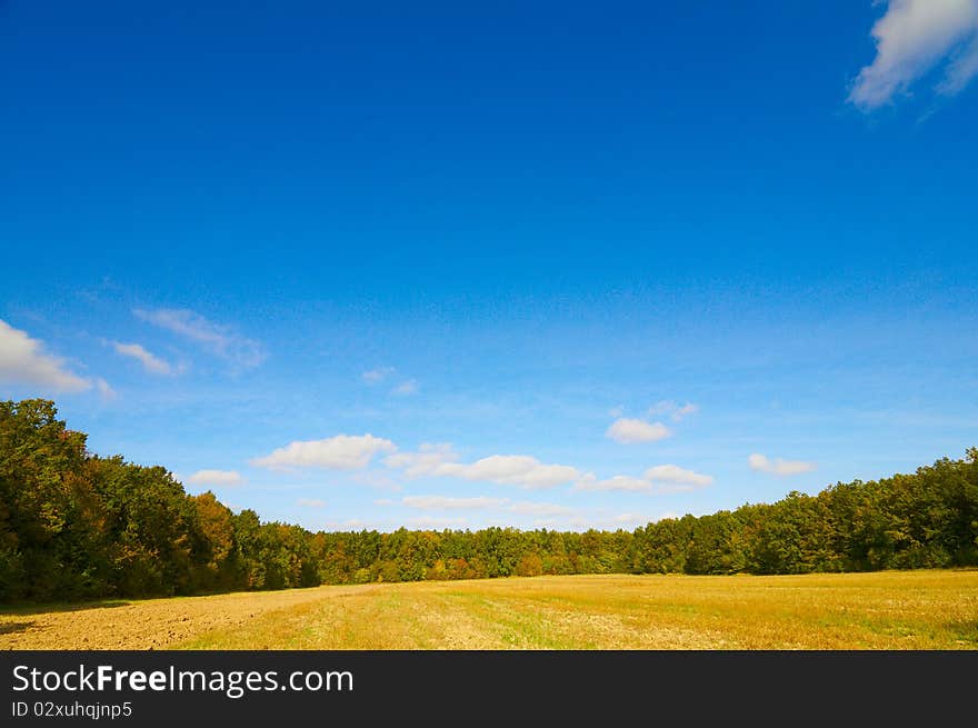 Autumnal view of field and grove. Autumnal view of field and grove.