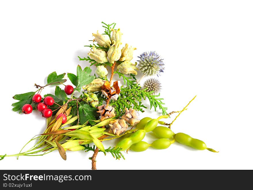 A bouquet of autumn fruit and leaves on a white background. A bouquet of autumn fruit and leaves on a white background