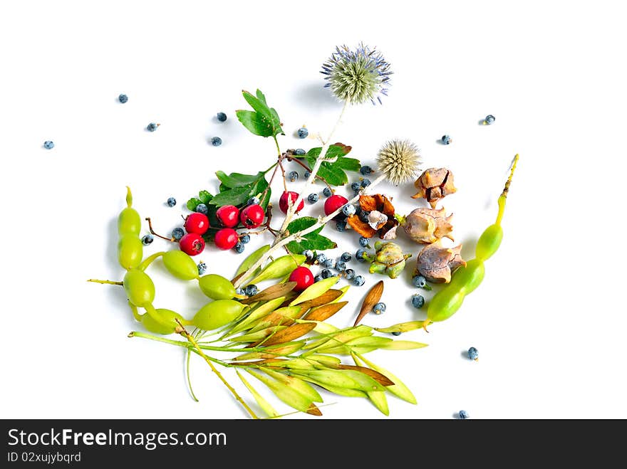 A bouquet of autumn fruit and leaves on a white background. A bouquet of autumn fruit and leaves on a white background