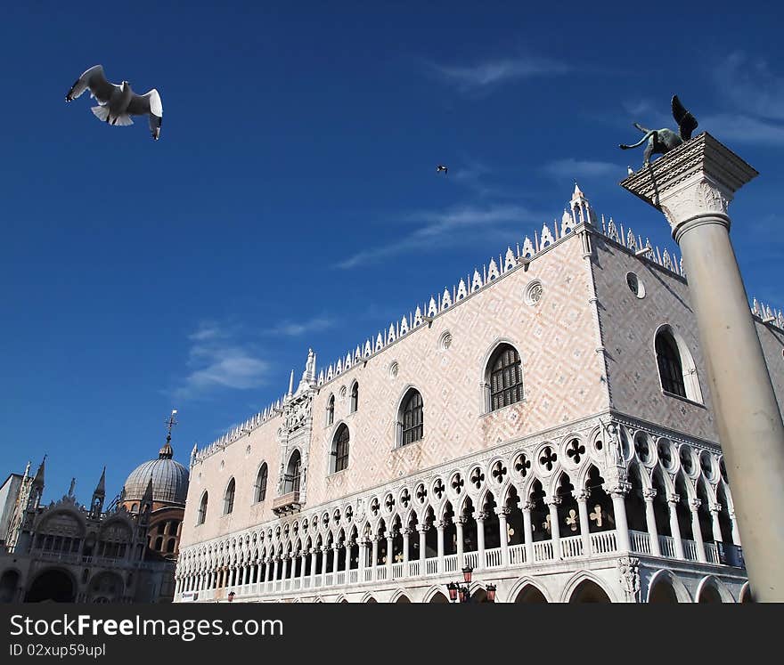 Tern or Gull at Basilica di San Marco and Doges Palace , Venice Italy , Photo by E-P1. Tern or Gull at Basilica di San Marco and Doges Palace , Venice Italy , Photo by E-P1