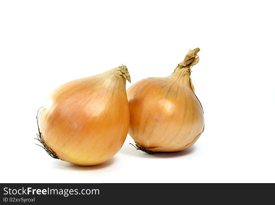 A lonely onion is isolated. A lonely onion is isolated