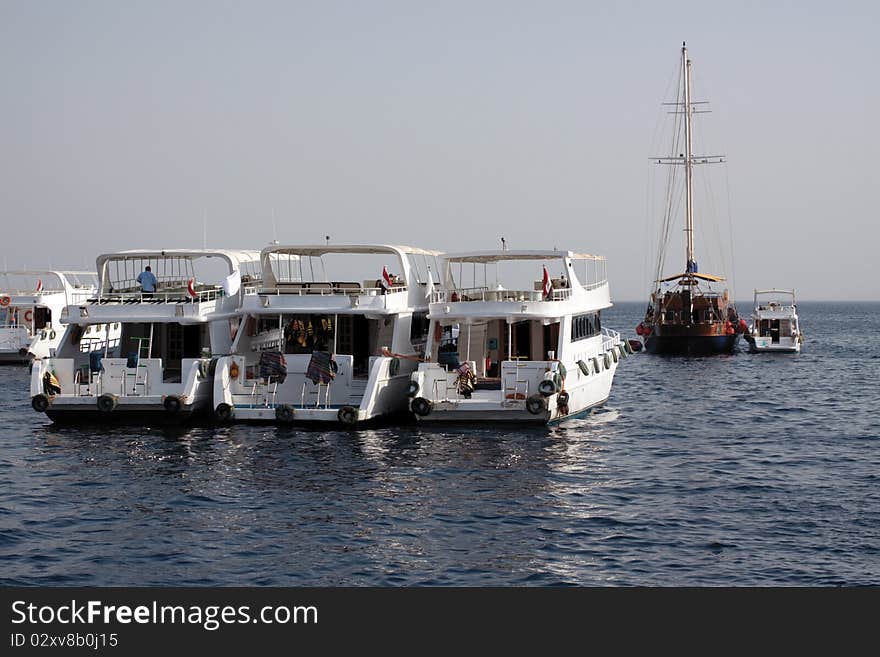 Sea Yachts under sunlight at its moorings