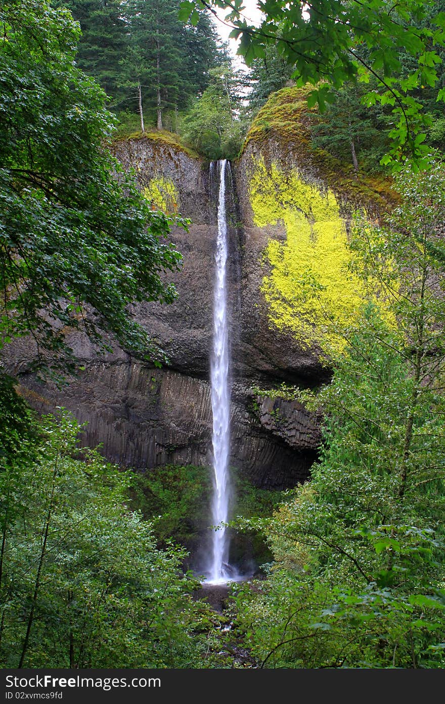 Waterfall In The Columbia River Gorge