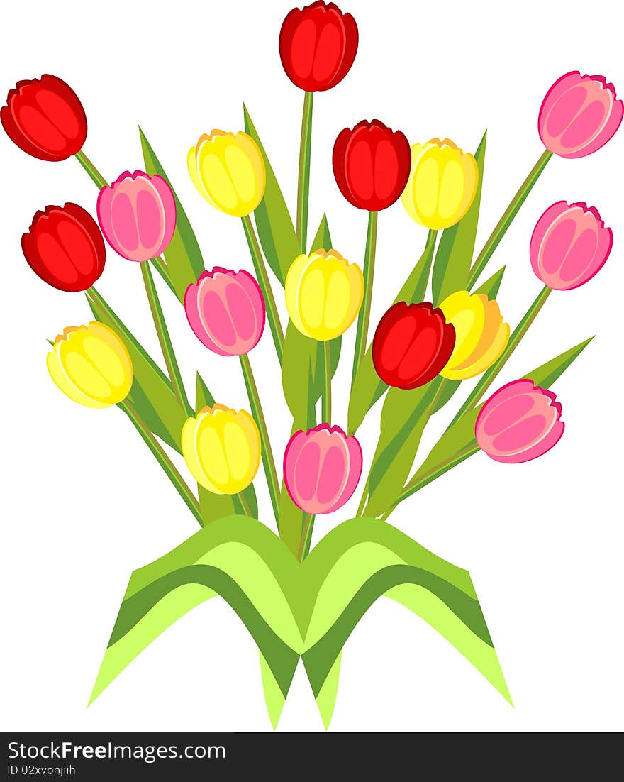 Postcard with an image of colorful tulips. Postcard with an image of colorful tulips