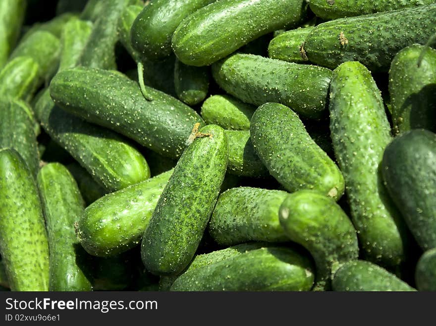 Pile of cucumbers at the local market.