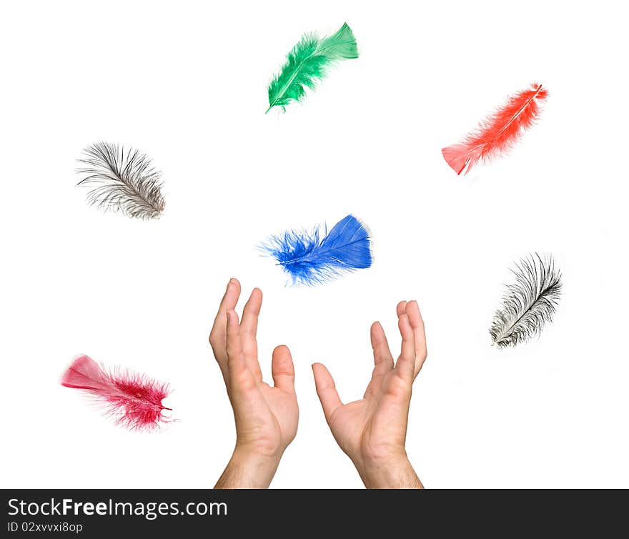 Close up of colorful feathers falling to hands