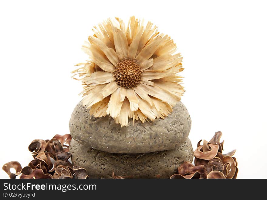 Dry flower on stone and with potpourri