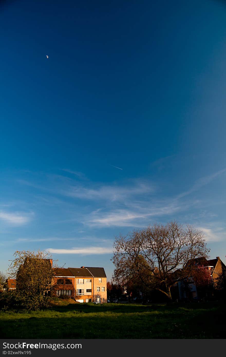 Houses trees and skies