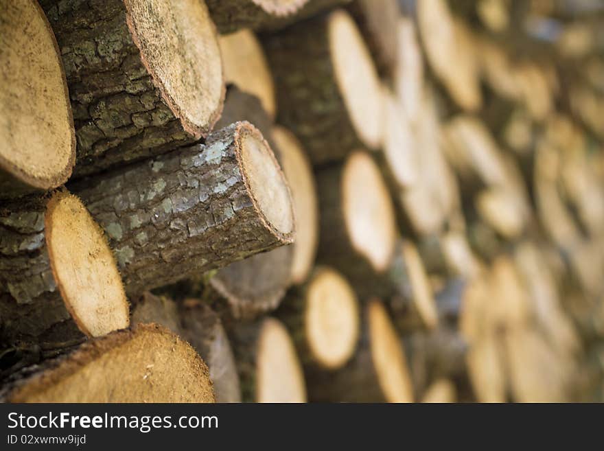 Heap of cylindrical pieces of wood arranged in order. Heap of cylindrical pieces of wood arranged in order