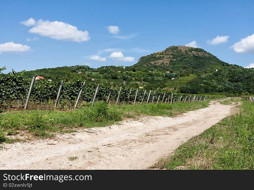 This road leads to the mountain