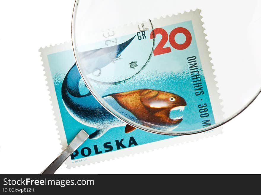 Postage stamp under magnifier with tweezers