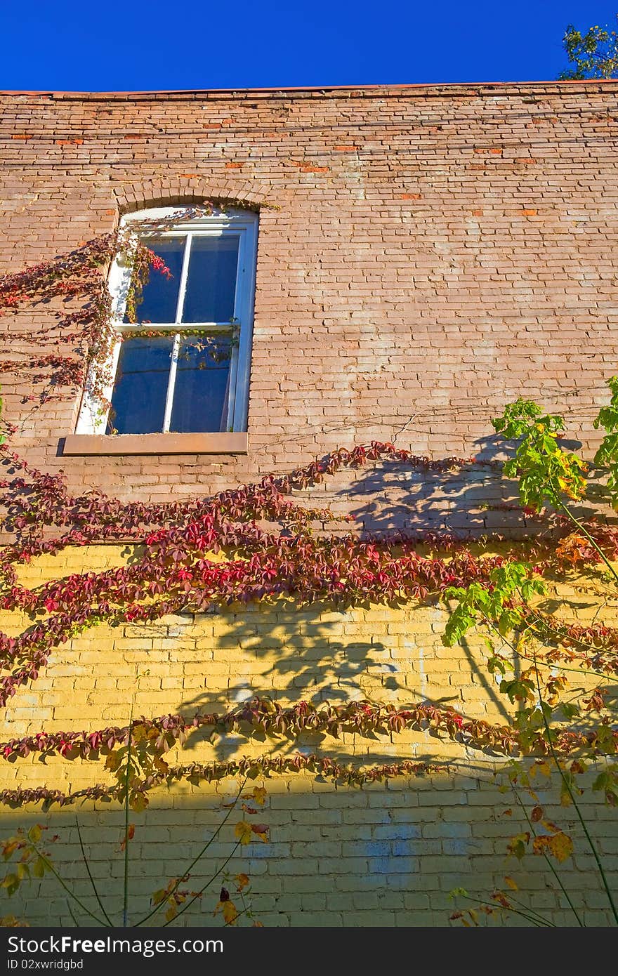 Building facade with painted bricks and vines, Oliver Springs, Tennessee