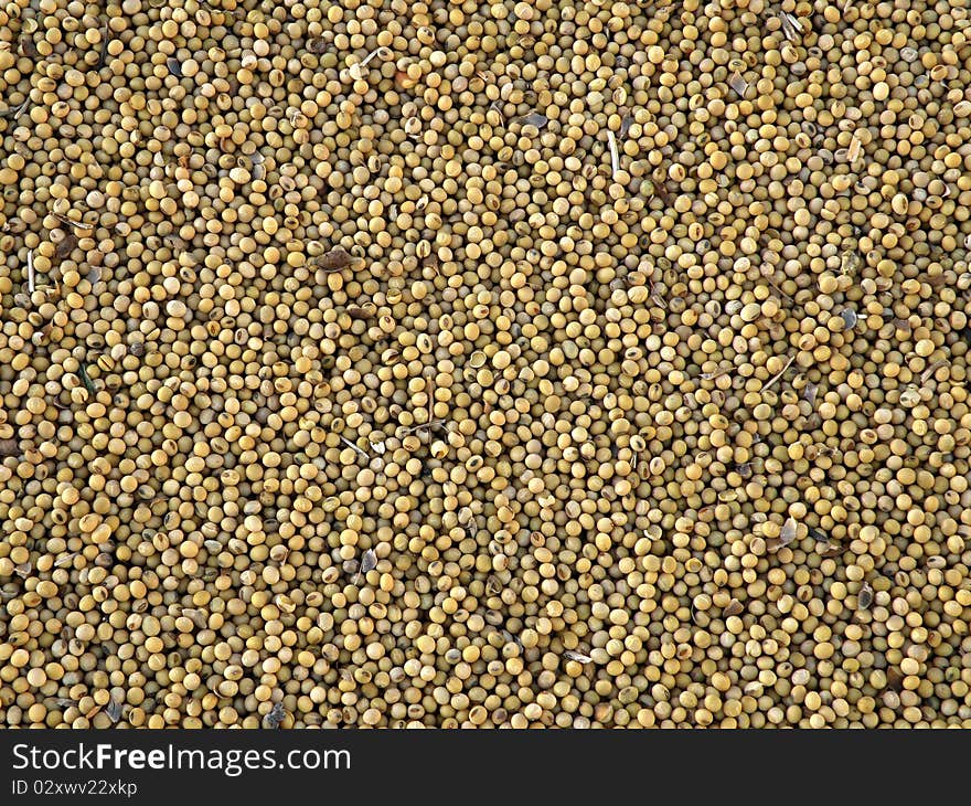 Soybeans