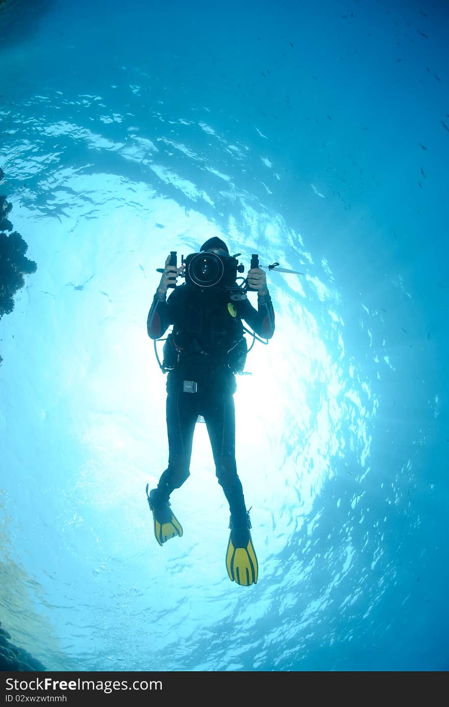 Female scuba diver and underwater video equipment.