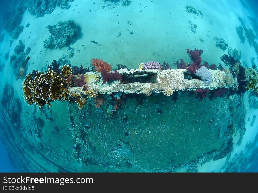 Abandoned remains of a cargo container