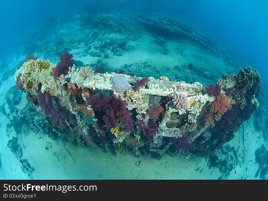 Abandoned Remains Of A Cargo Container