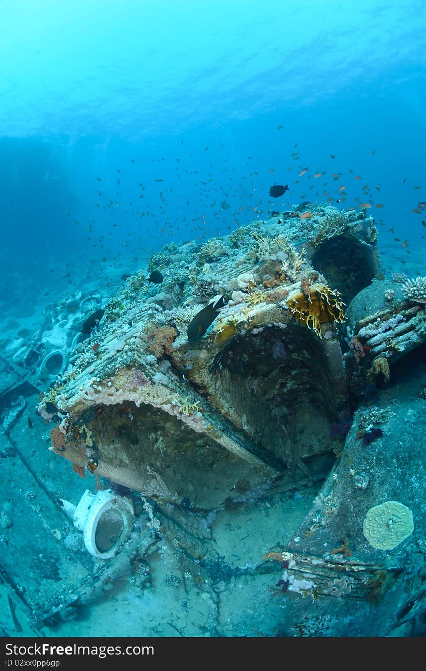 Abandoned cargo from shipwreck