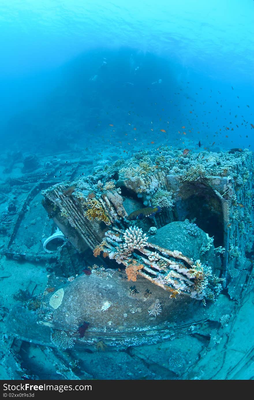 Abandoned cargo from shipwreck