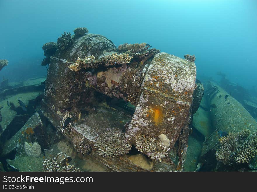 Shipwreck of the Kormoran with coral growth. Shipwreck of the Kormoran with coral growth