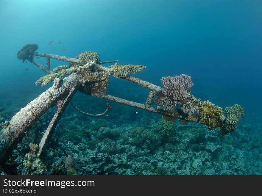 Shipwreck of the Kormoran with coral growth. Shipwreck of the Kormoran with coral growth