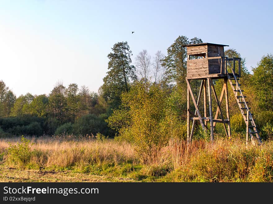 Wooden structure standing near the forest on a sunny afternoon