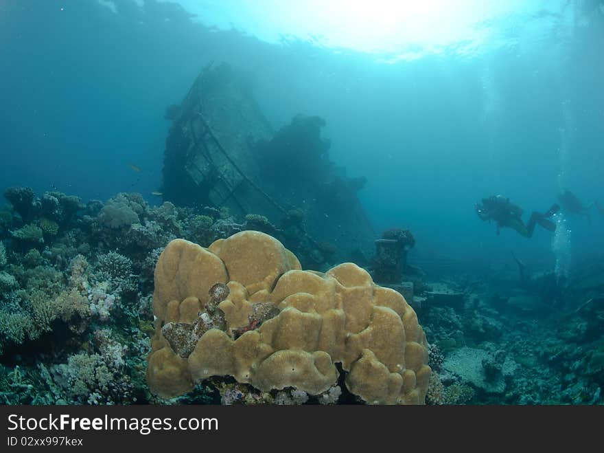 Shipwreck of the Kormoran with coral growth. Shipwreck of the Kormoran with coral growth