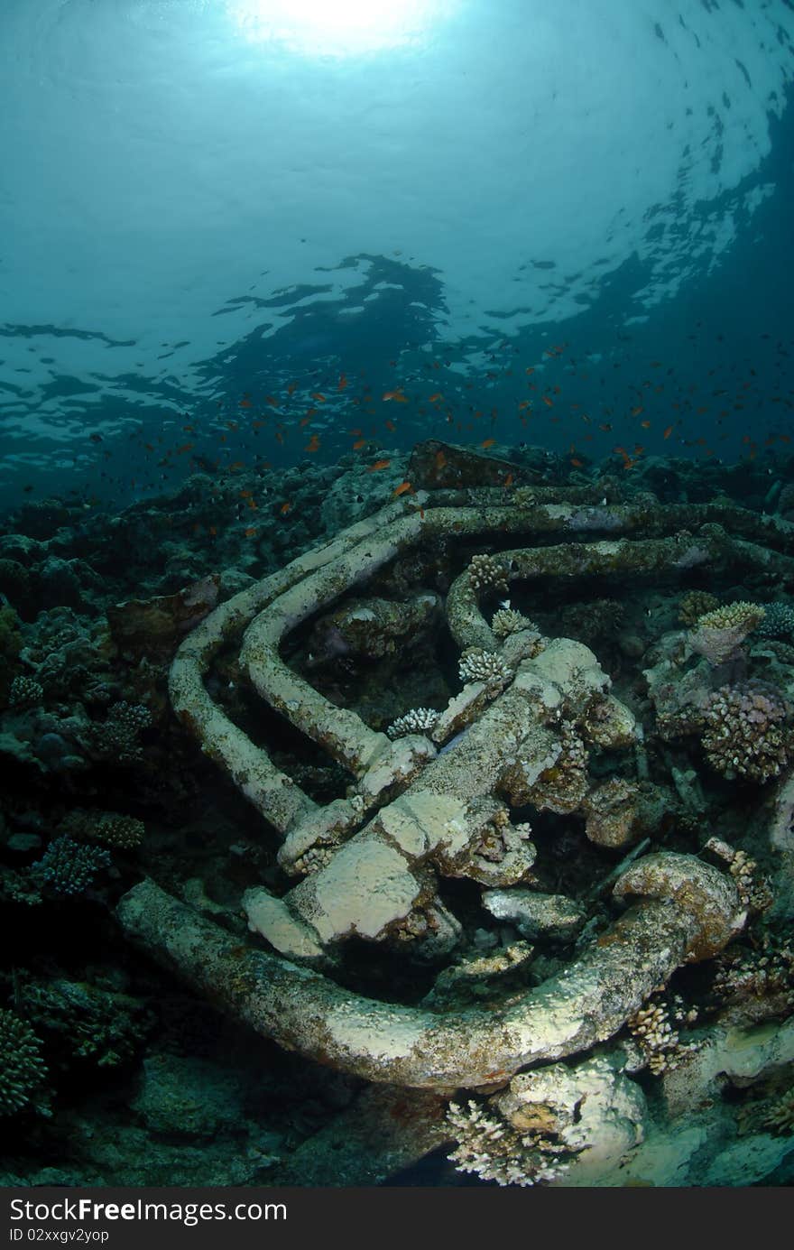 Wreckage from a the Lara shipwreck