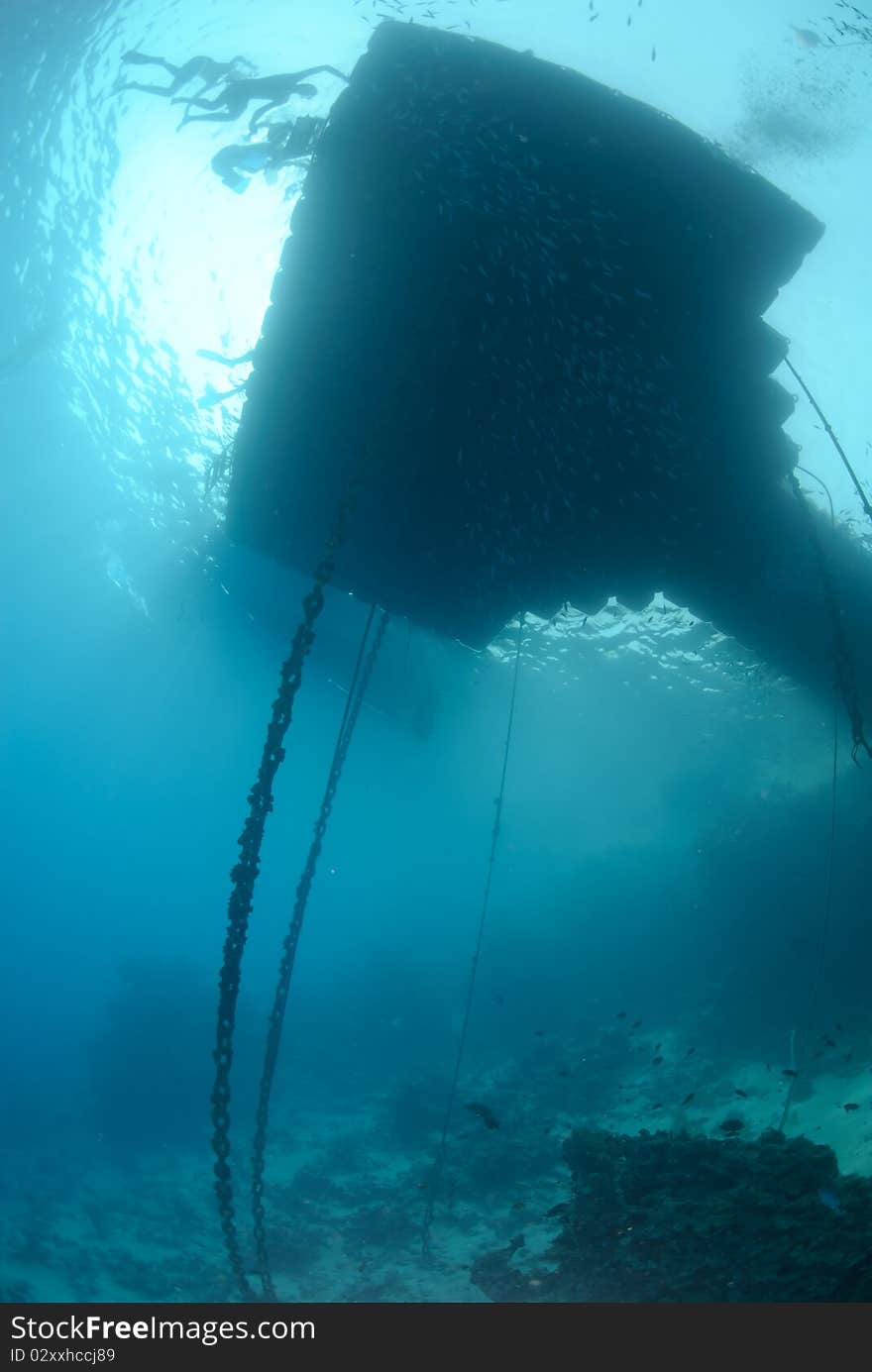 Floating jetty above a coral reef