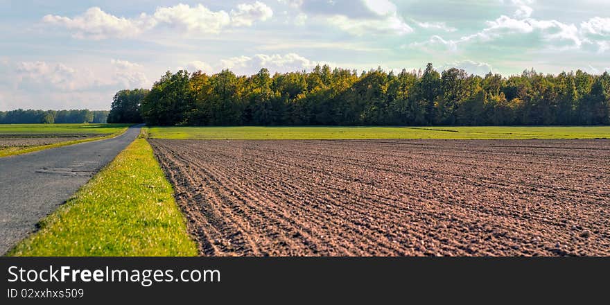 Plants for natural background on agricultural field