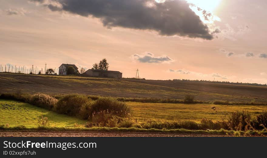 Plants for natural background on agricultural field