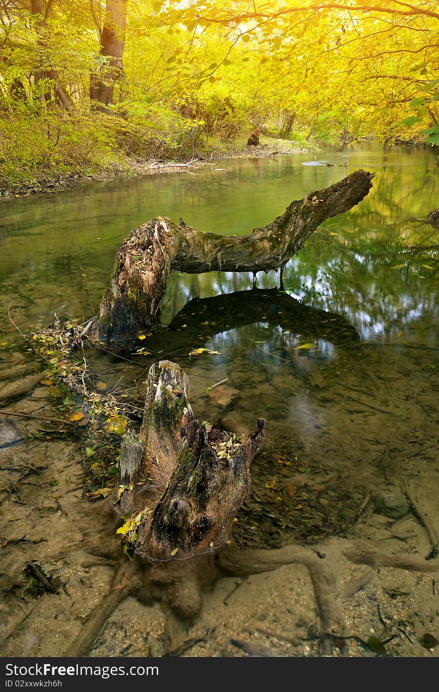 Autumn river. Composition of nature.