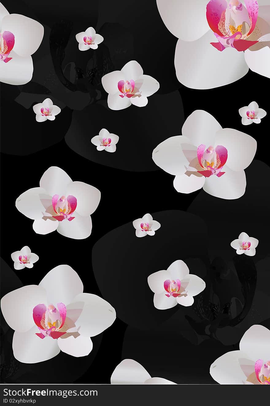 Background with white orchid flowers