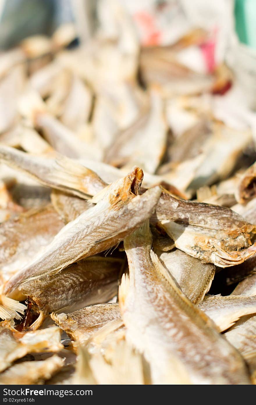 Fish hung up to salt and dry in the sun in my hometown. Fish hung up to salt and dry in the sun in my hometown