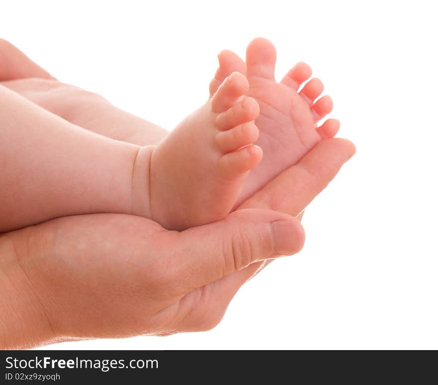 Legs handheld mother on a white background. Legs handheld mother on a white background.