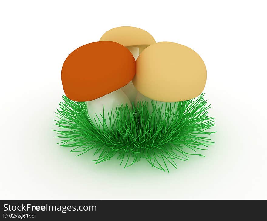 Mushrooms in the grass on white background