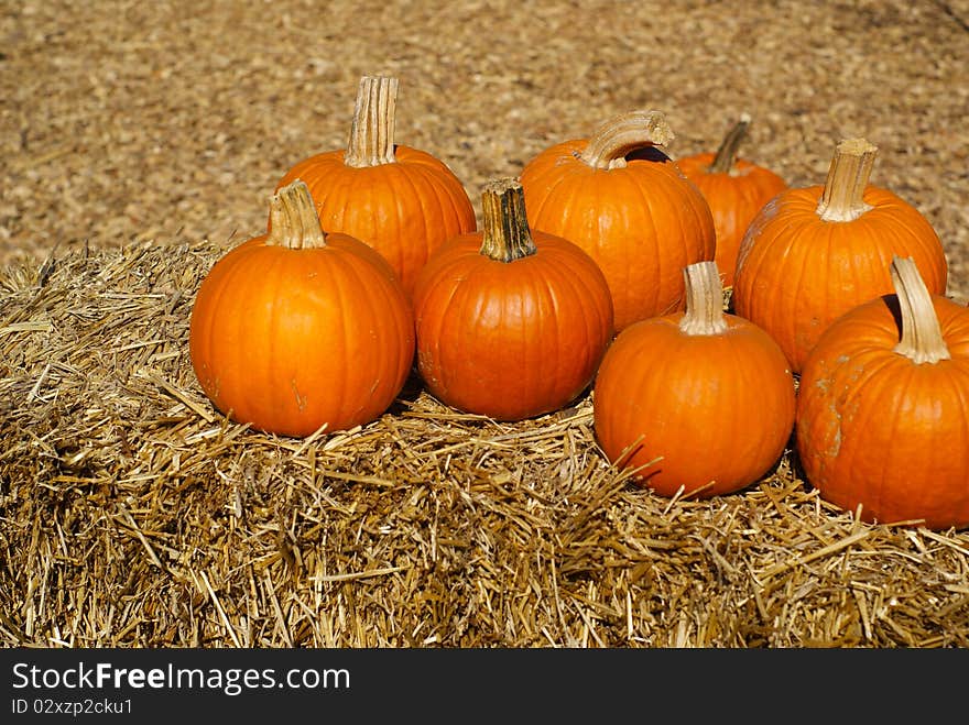 Ripe orange pumpkins on brown hay bales