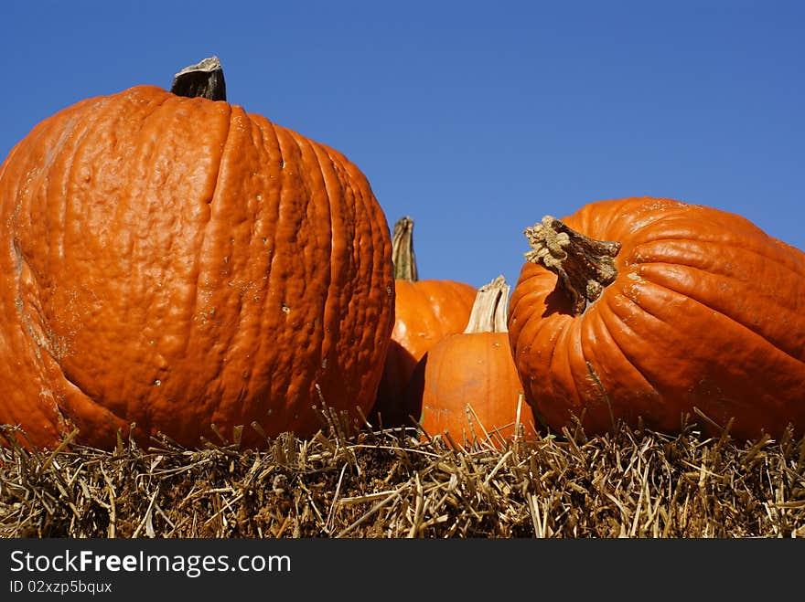 Orange pumpkins on hay bales in closeup with blue sky backdrop. Orange pumpkins on hay bales in closeup with blue sky backdrop