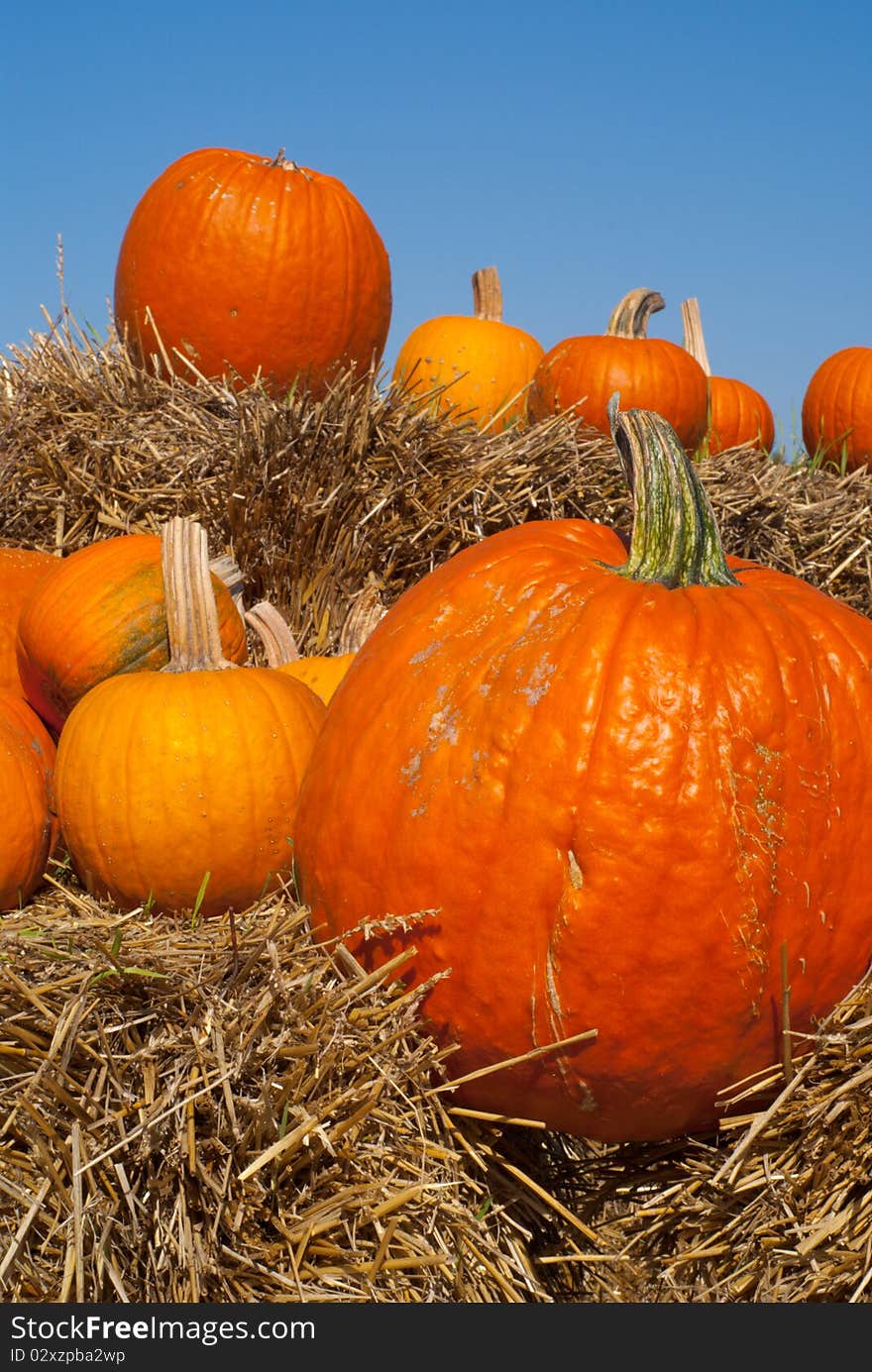 Arrangement of orange pumpkins on hay bales with blue sky backdrop.