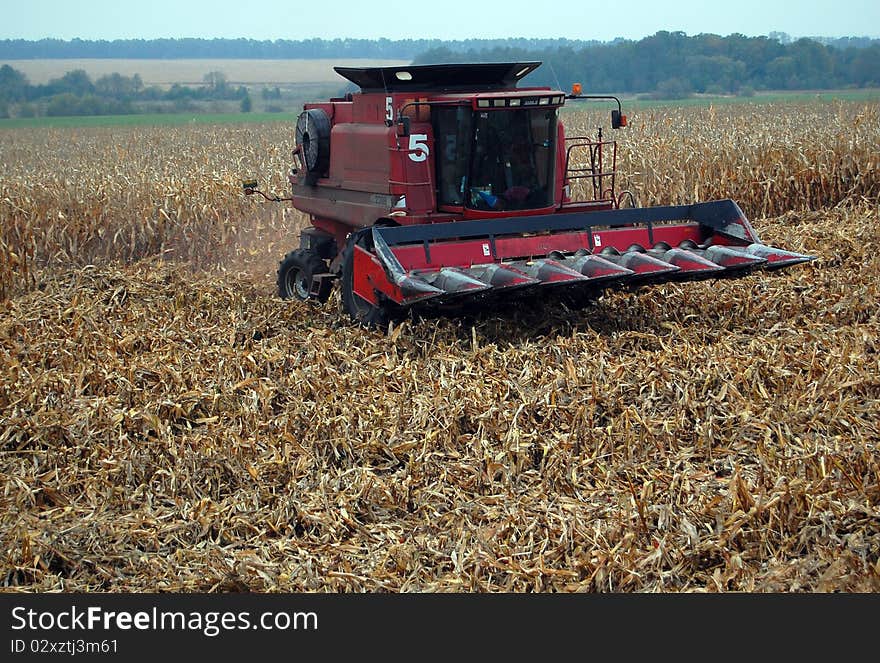 Combain is harvesting mais on Ukrainian field. Combain is harvesting mais on Ukrainian field