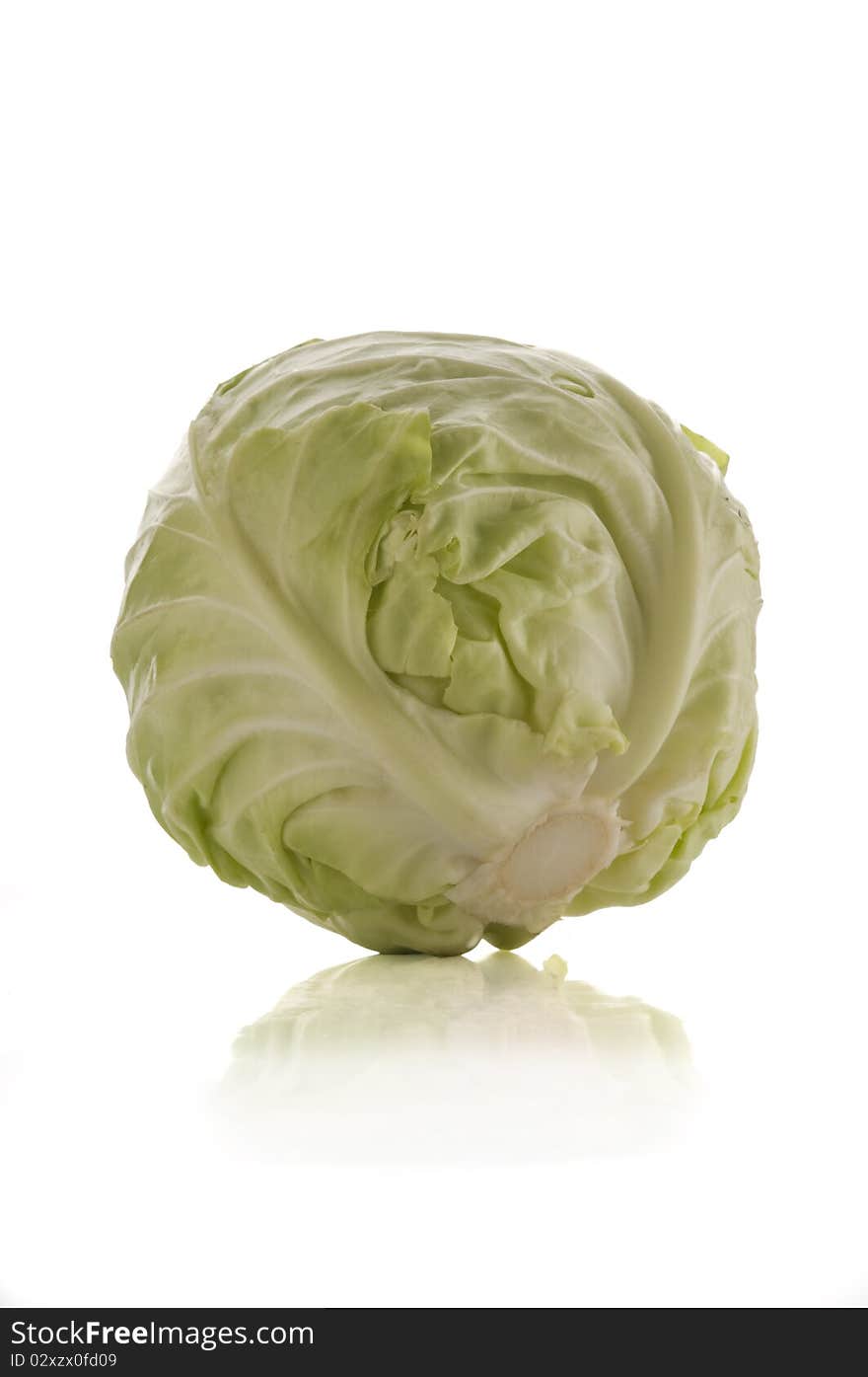 Green cabbage isolated on white background