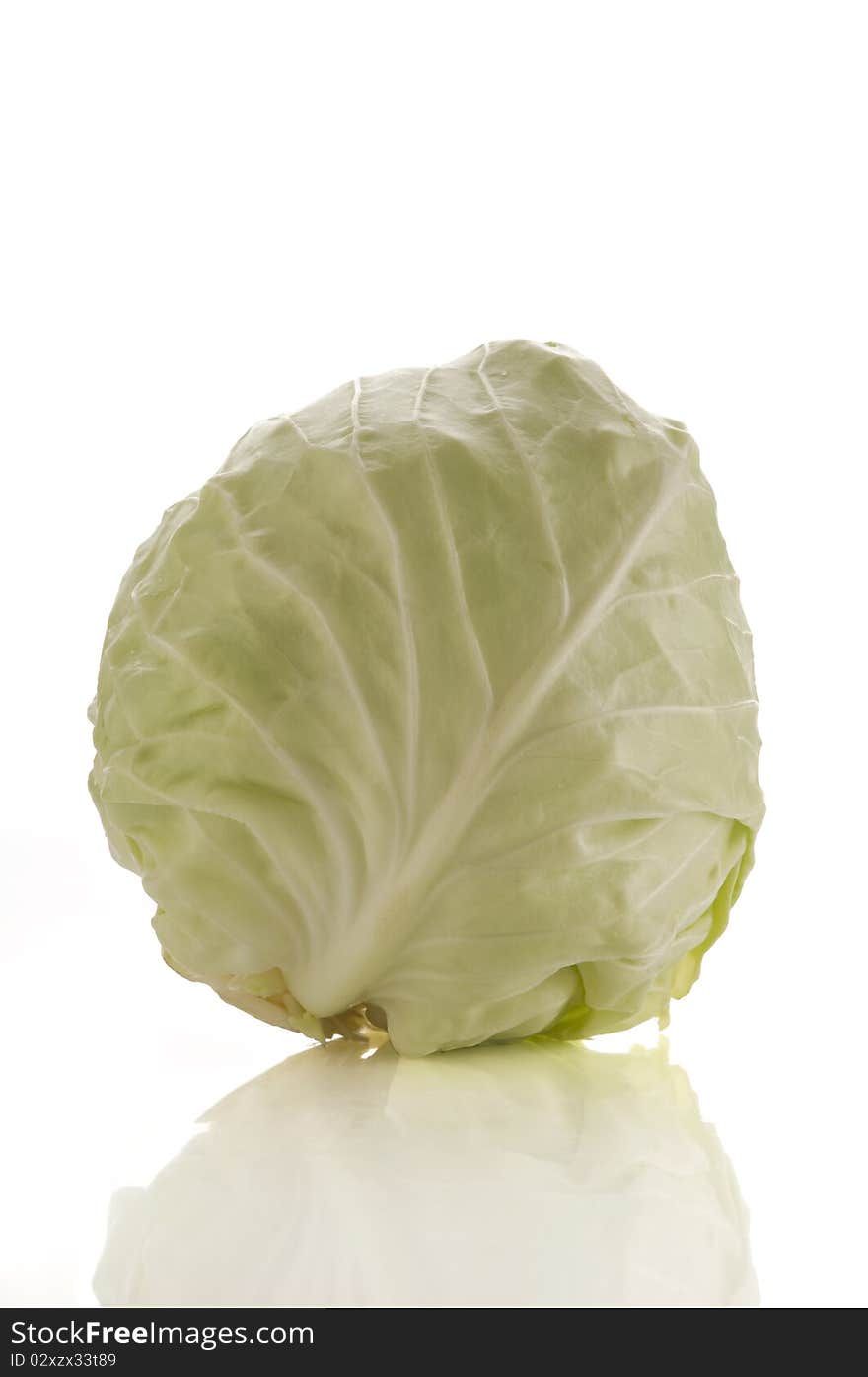 Green cabbage isolated on white background