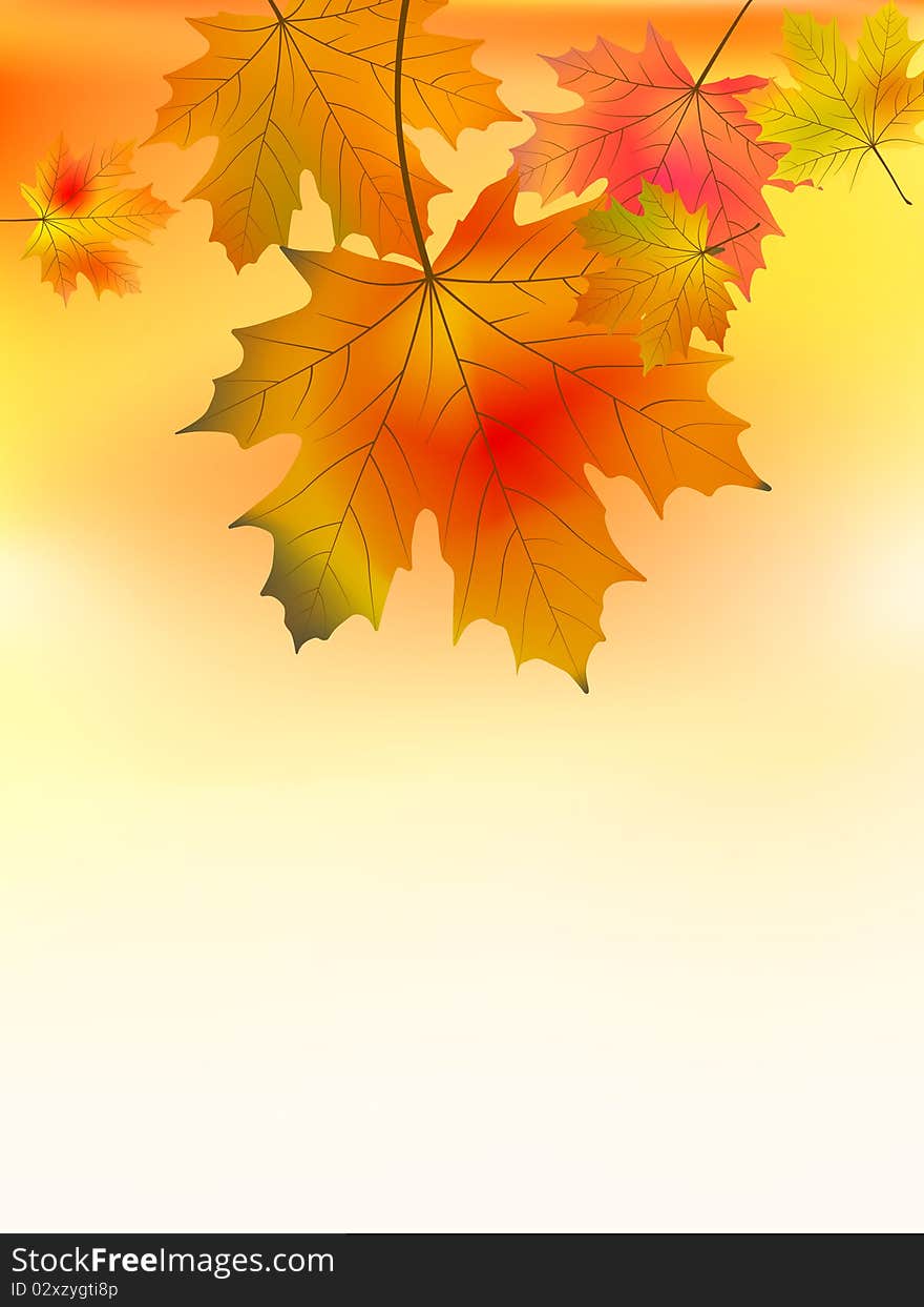 Autumn background with maple leaves. EPS 8  file included