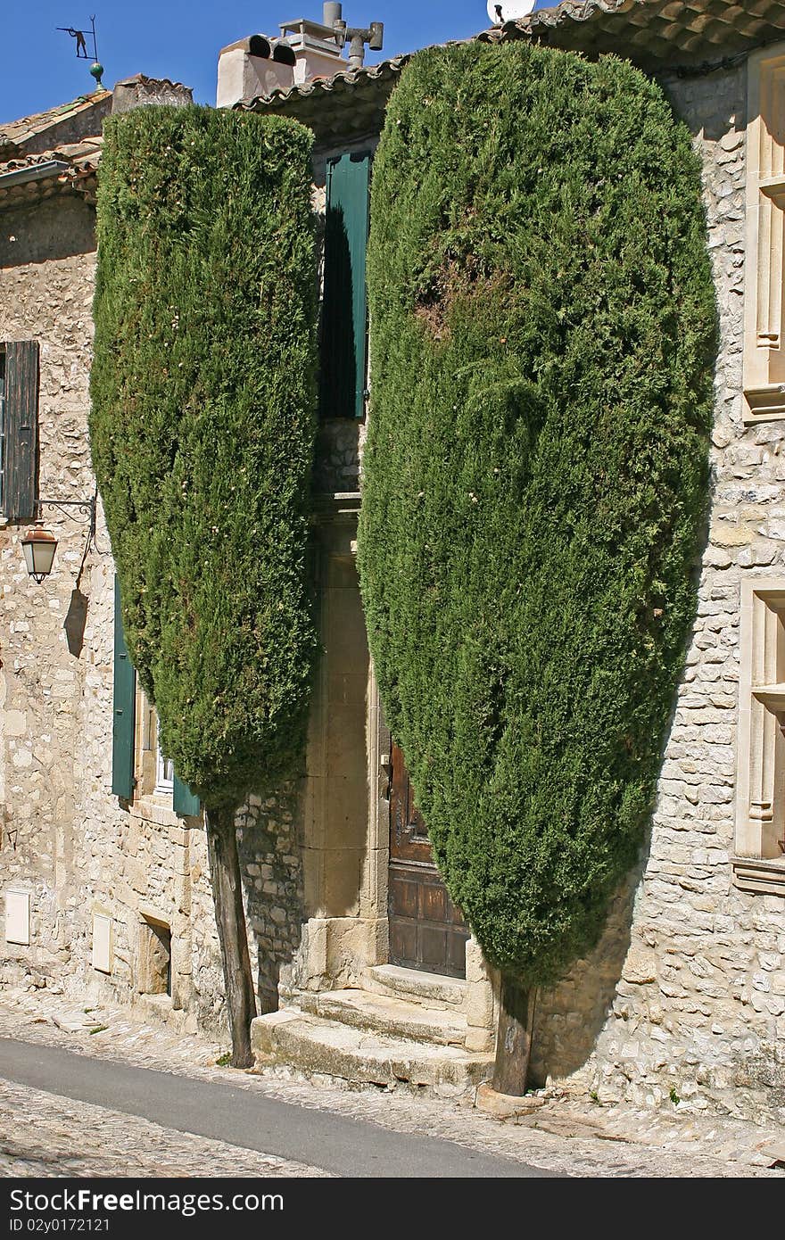 Entrance door with cypress