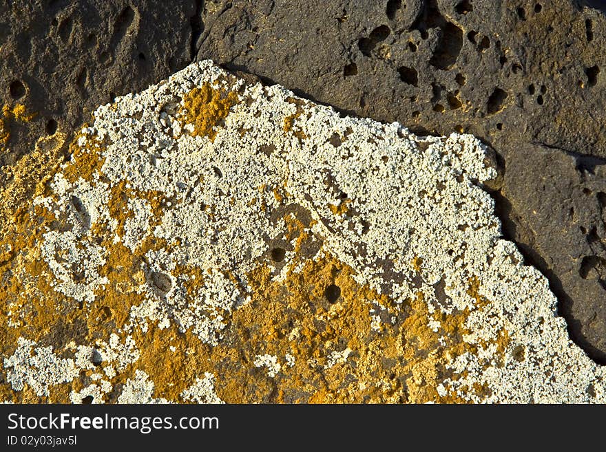 stones at the coastline covered by lichen