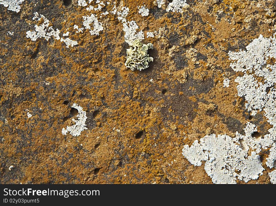 Beautiful stone structure at the coast line covered by lichen