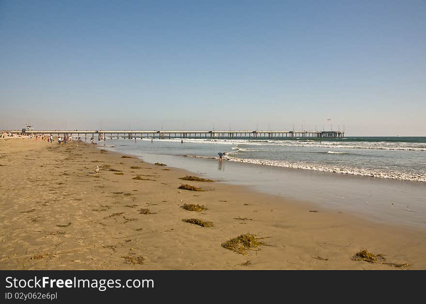 Beautiful beach in Venice