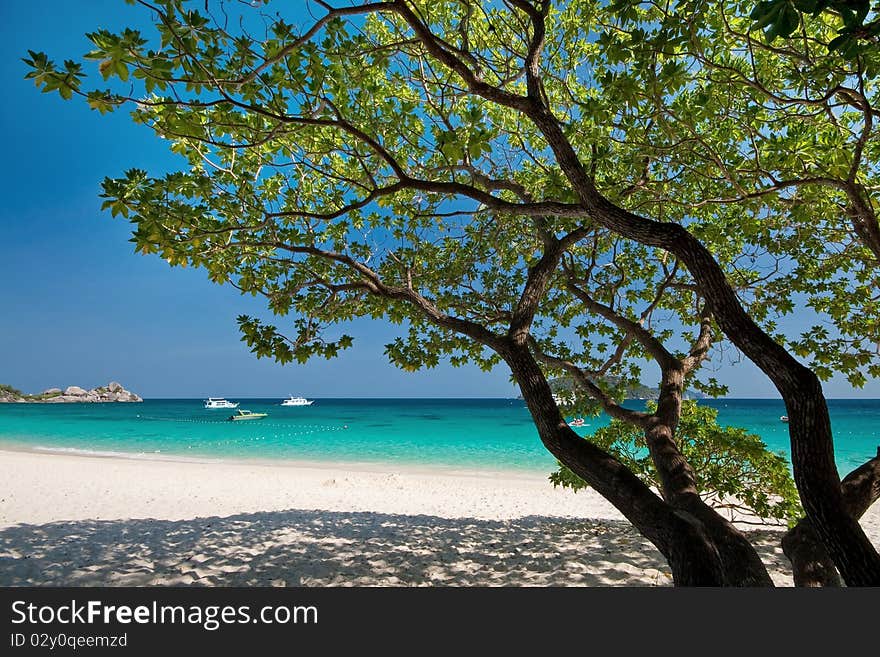 Similan Islands, Marine National Park, South Of Th