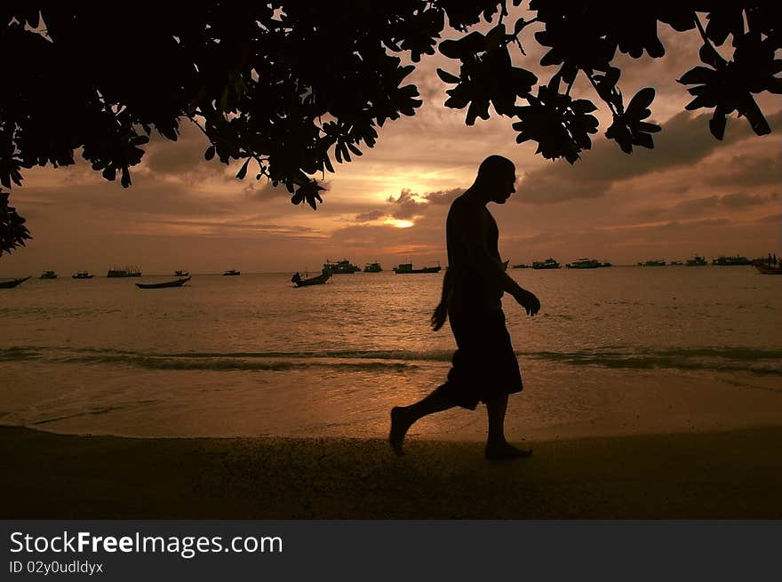 The silhouette on the beach