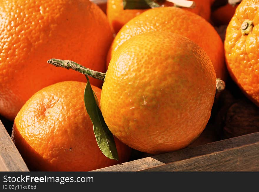 Closeup of a clementine in a basket filled with citrus. Closeup of a clementine in a basket filled with citrus